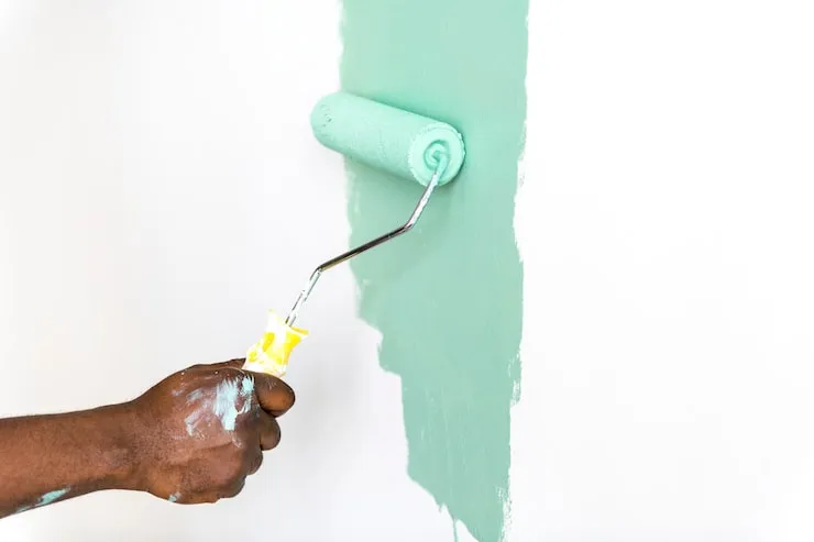 Professional Paintwork Services
